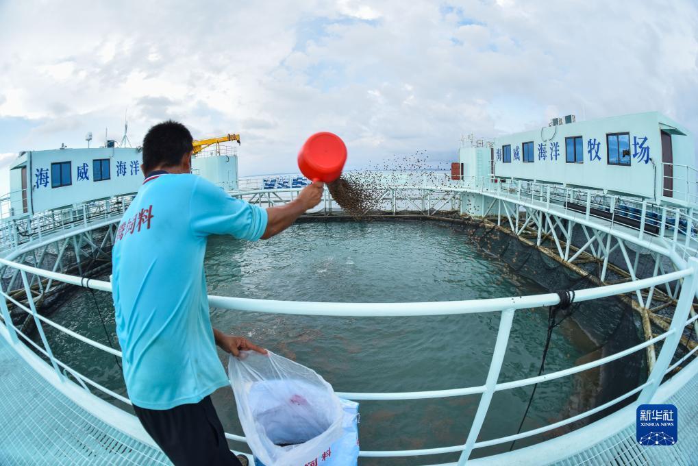 深海捕鱼类小说